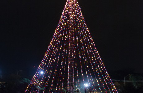 trail-of-lights016